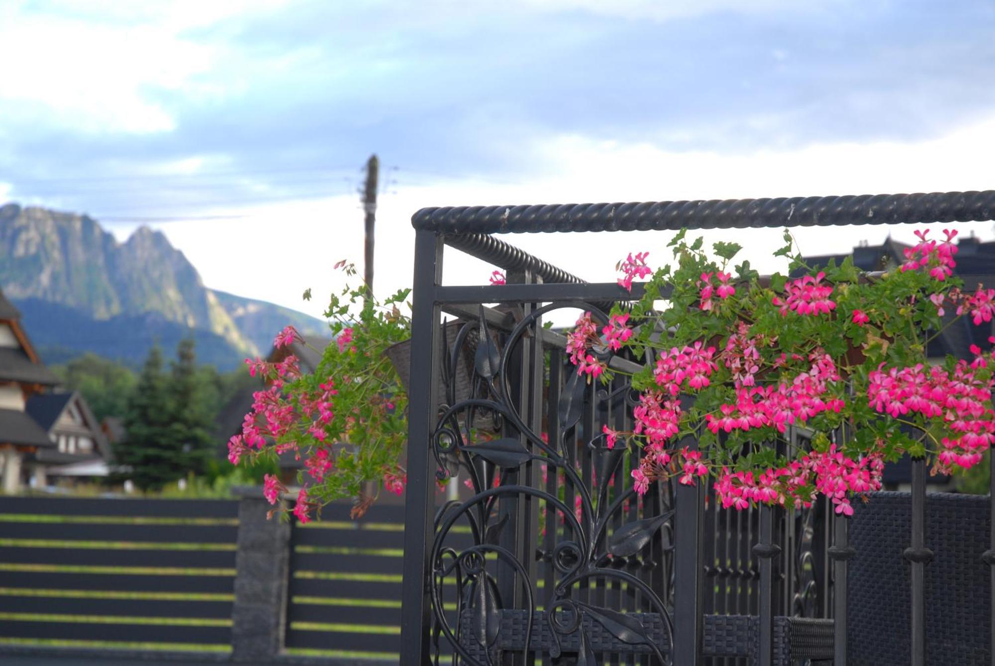 Bed and Breakfast "Czarna Turnia "Zakopane Exteriér fotografie